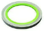 GUARNIZIONE PIANA “BI-POWER”