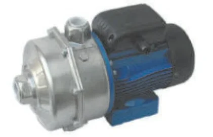 ELETTROPOMPA CENTRIFUGA BIGIRANTE LOWARA SERIE CA